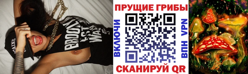 Псилоцибиновые грибы прущие грибы  цена   Починок 
